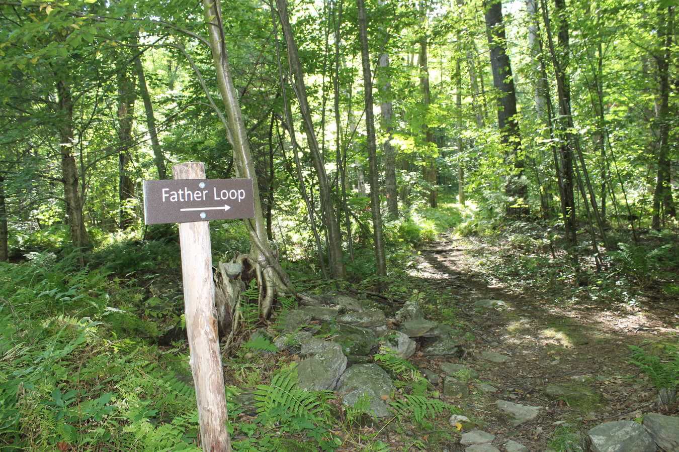 Photo of Father Loop trail sign at Alford Springs