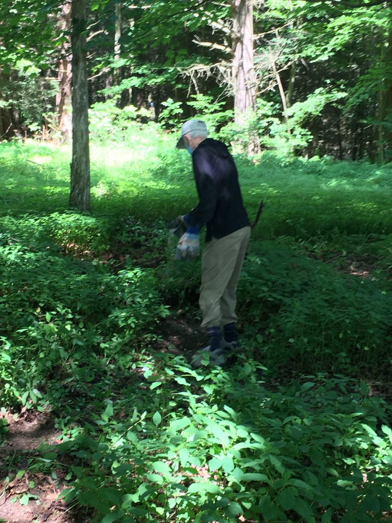 Photo of people working at Schiffman Woods
