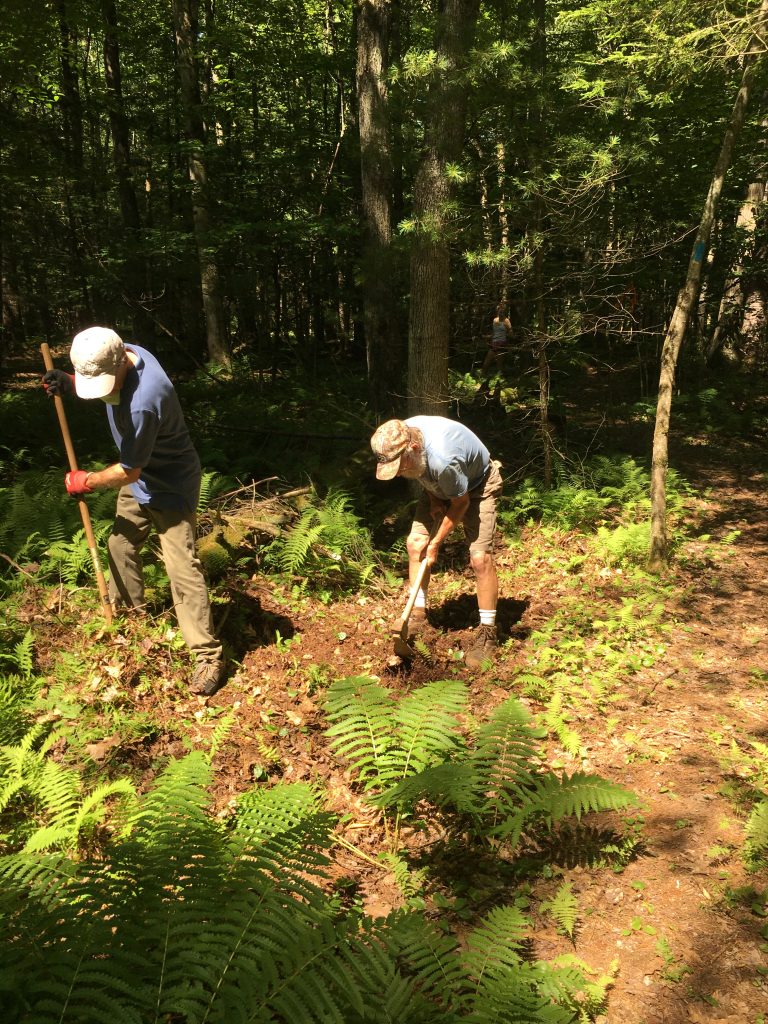 Photo of people working at Schiffman Woods